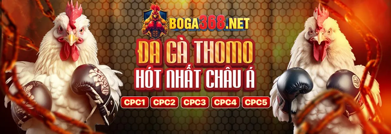 Đá gà trực tuyến BetVIP Link Vào Chính Thức 2026
